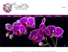 Tablet Screenshot of orchidtreecostarica.net